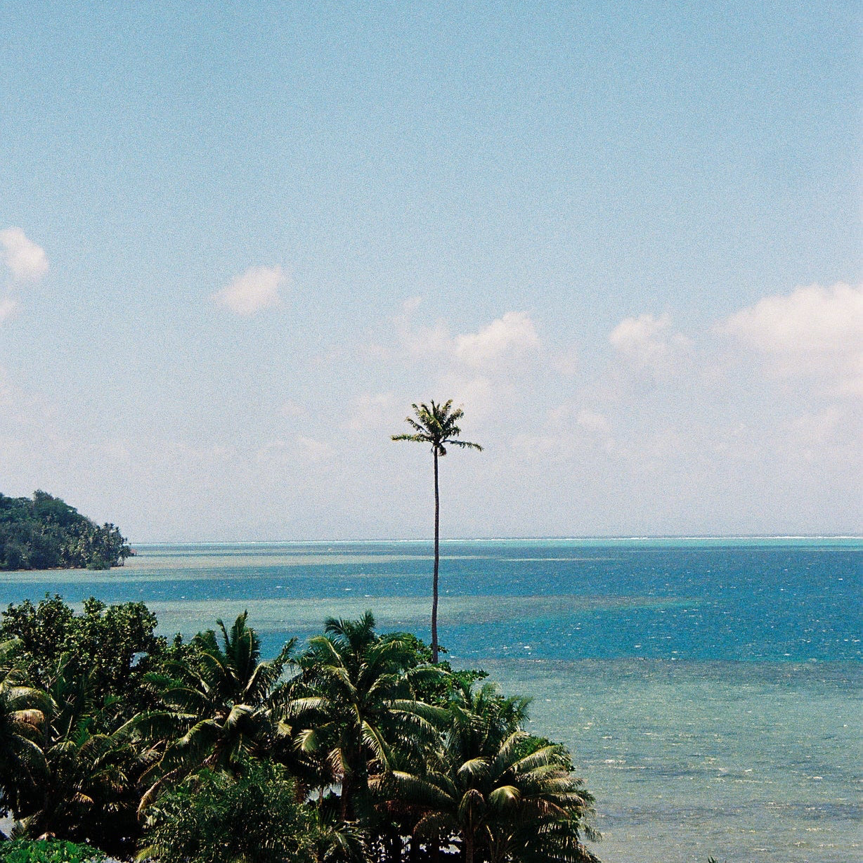 The Tahiti Collection