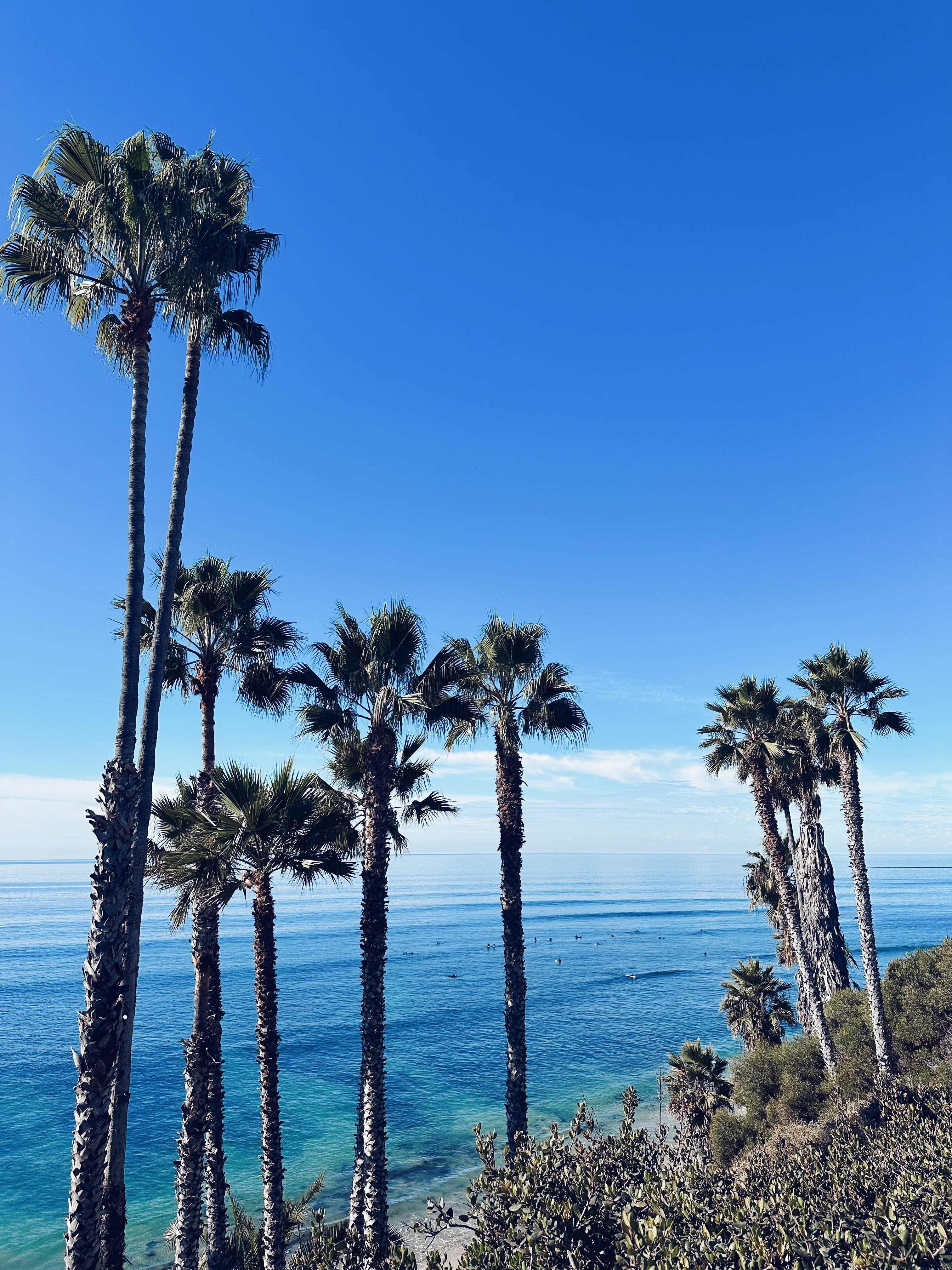 The Pacific Collection