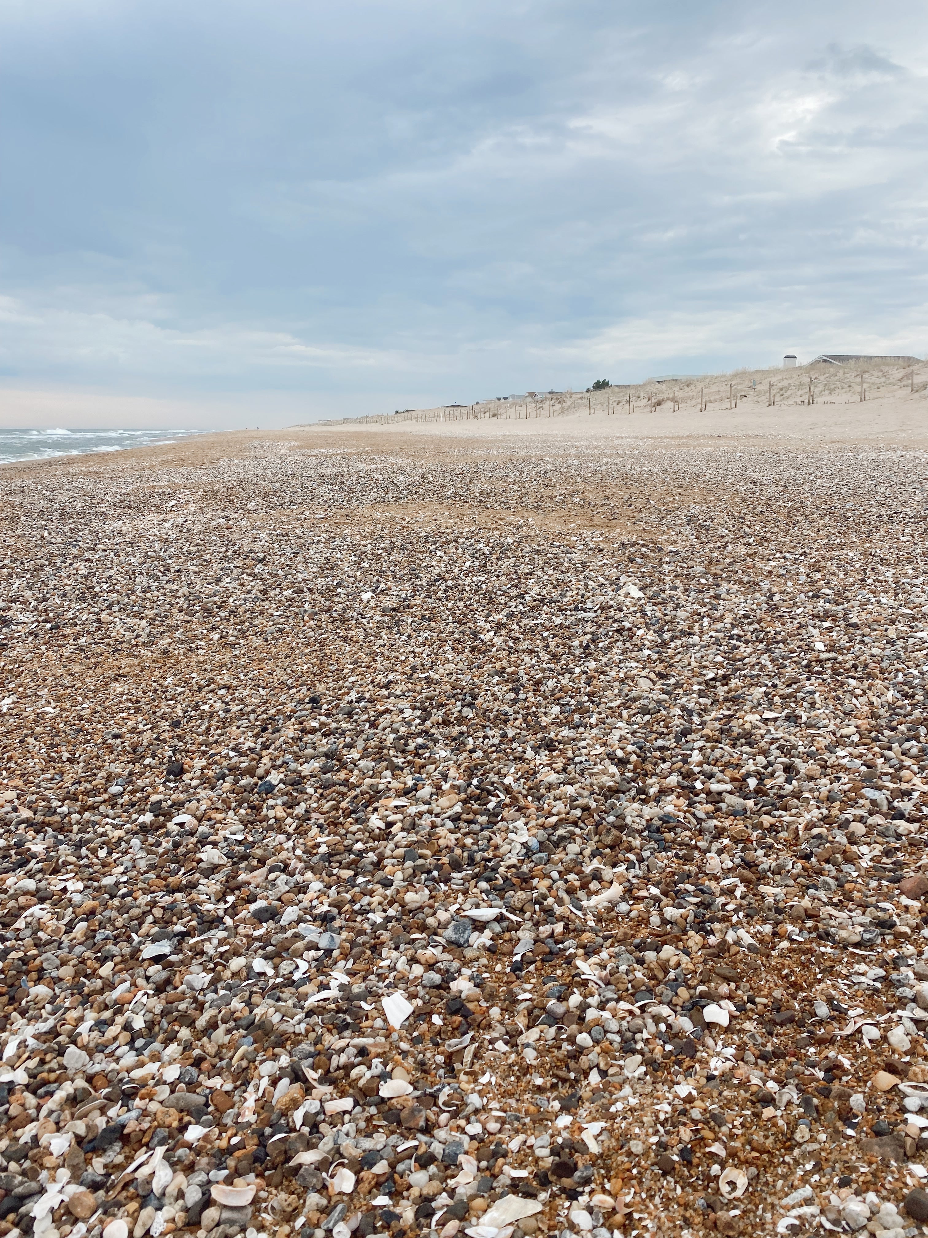 The Atlantic Collection