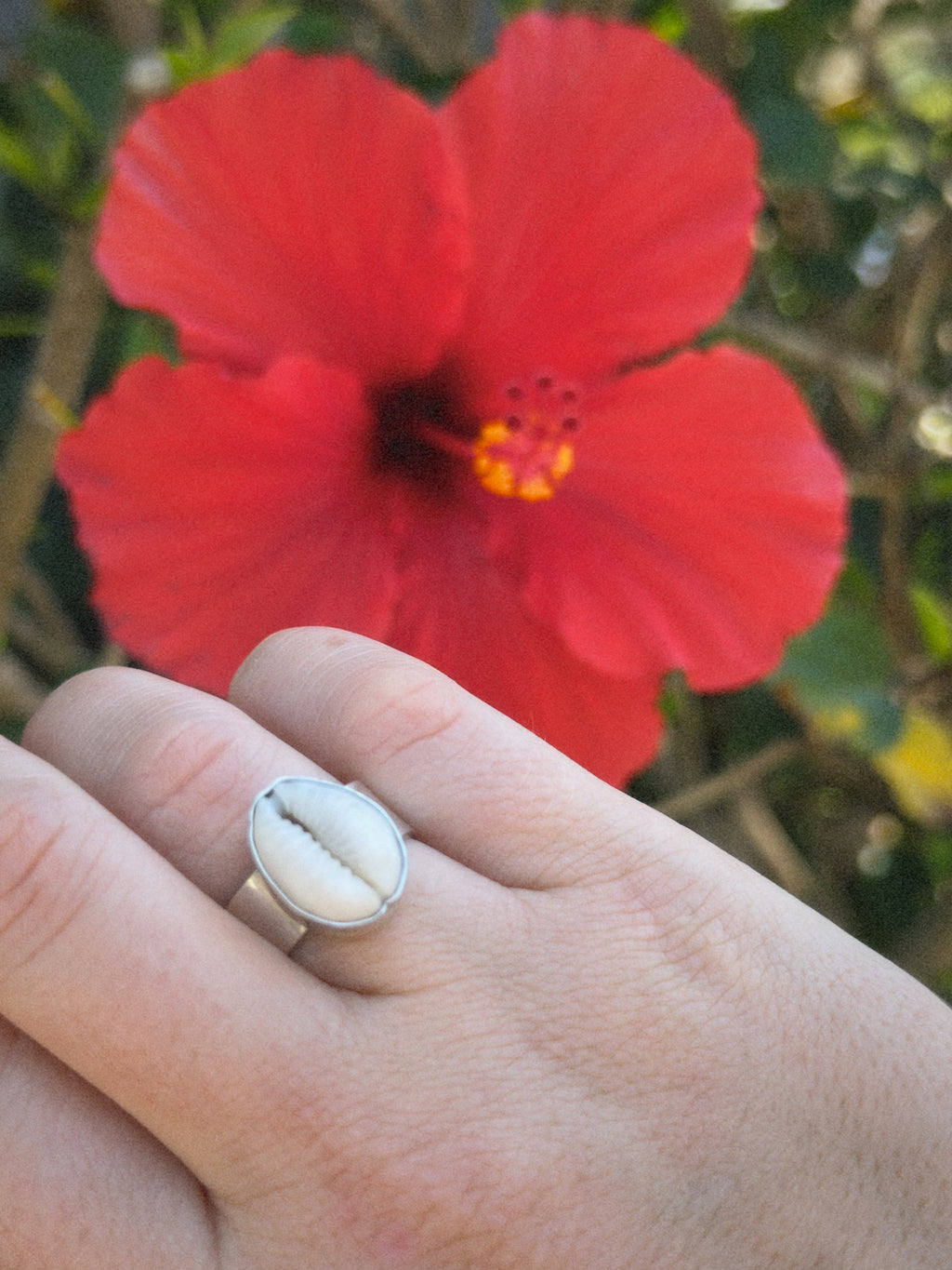 Cowrie Shell Ring - Wide Band
