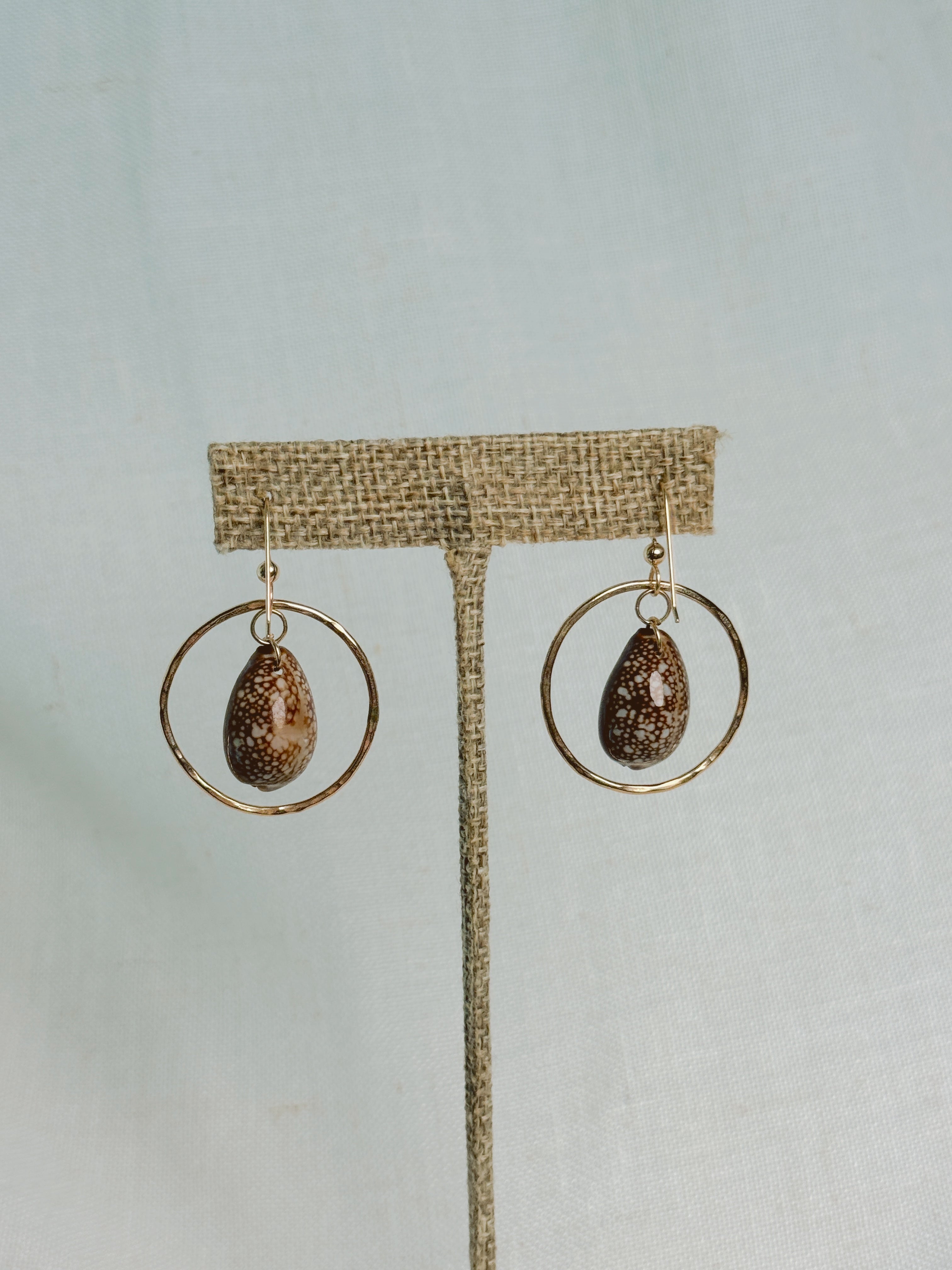 Golden Tide Hoops with brown cowries