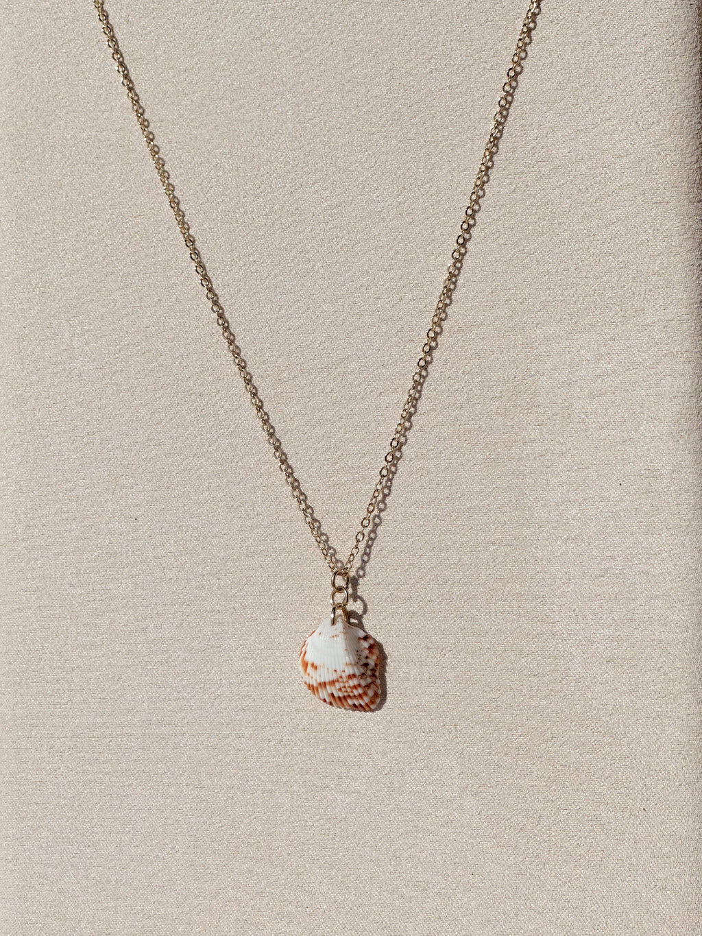 Slow Tide Coastal Clam Shell Necklace