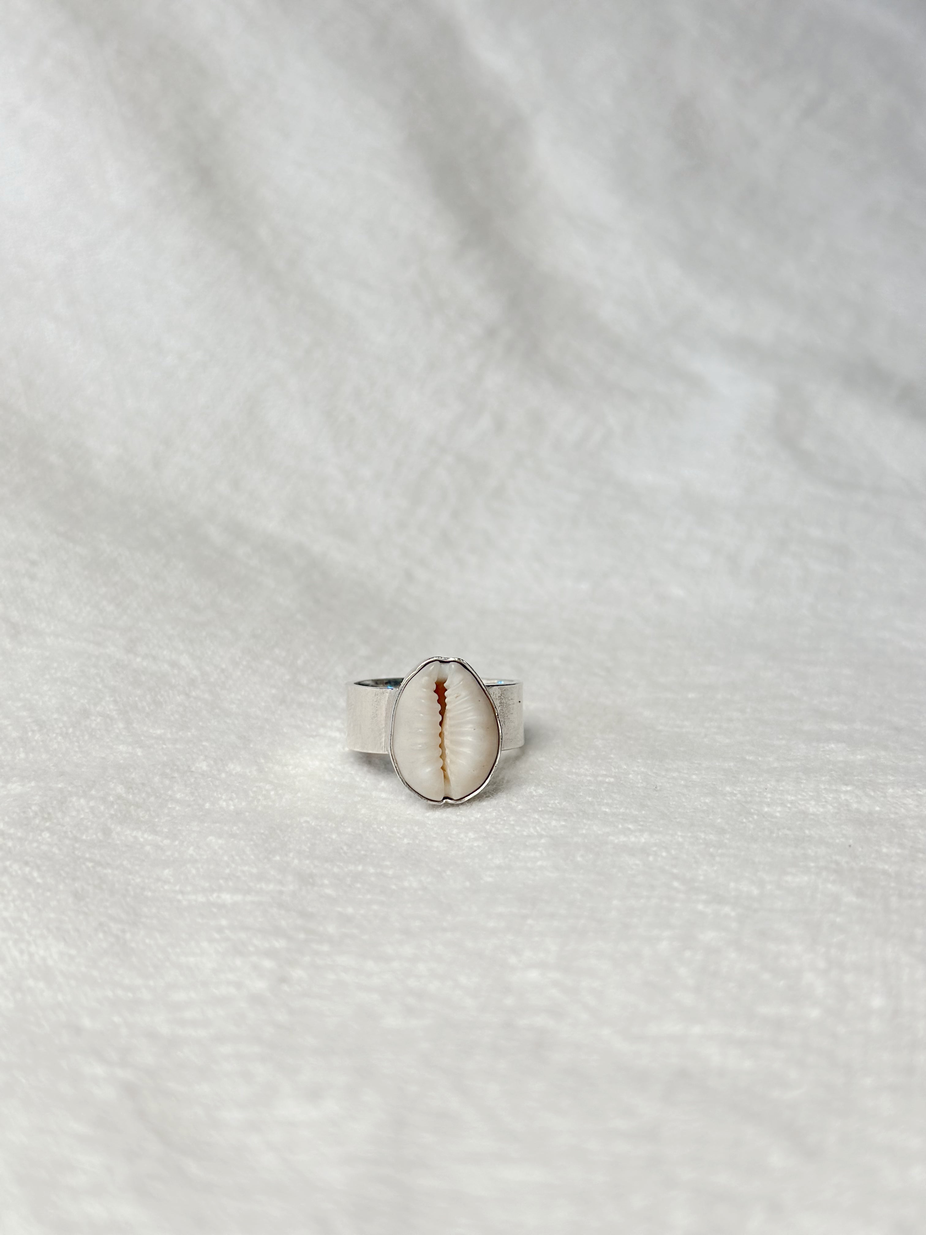 Cowrie Shell Ring - Wide Band
