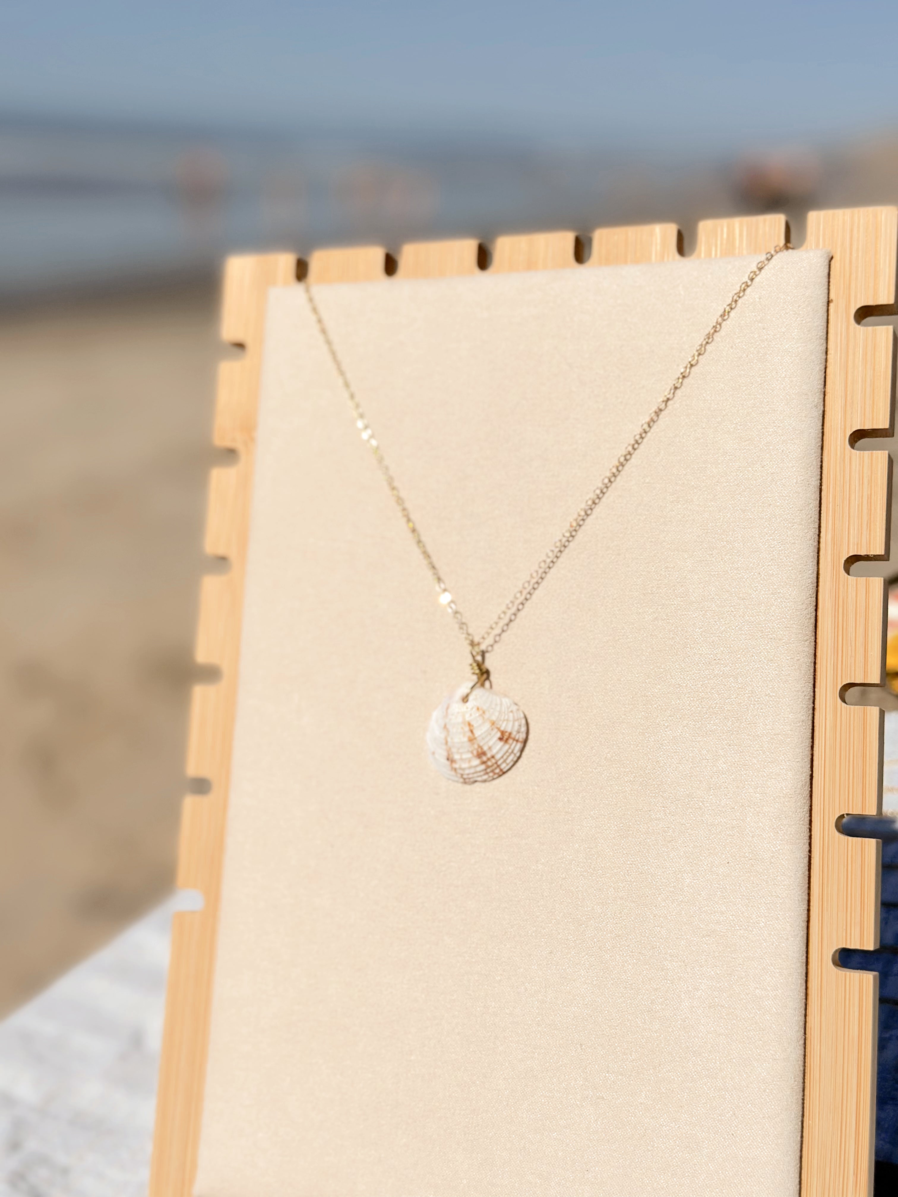 Slow Tide Coastal Clam Shell Necklace