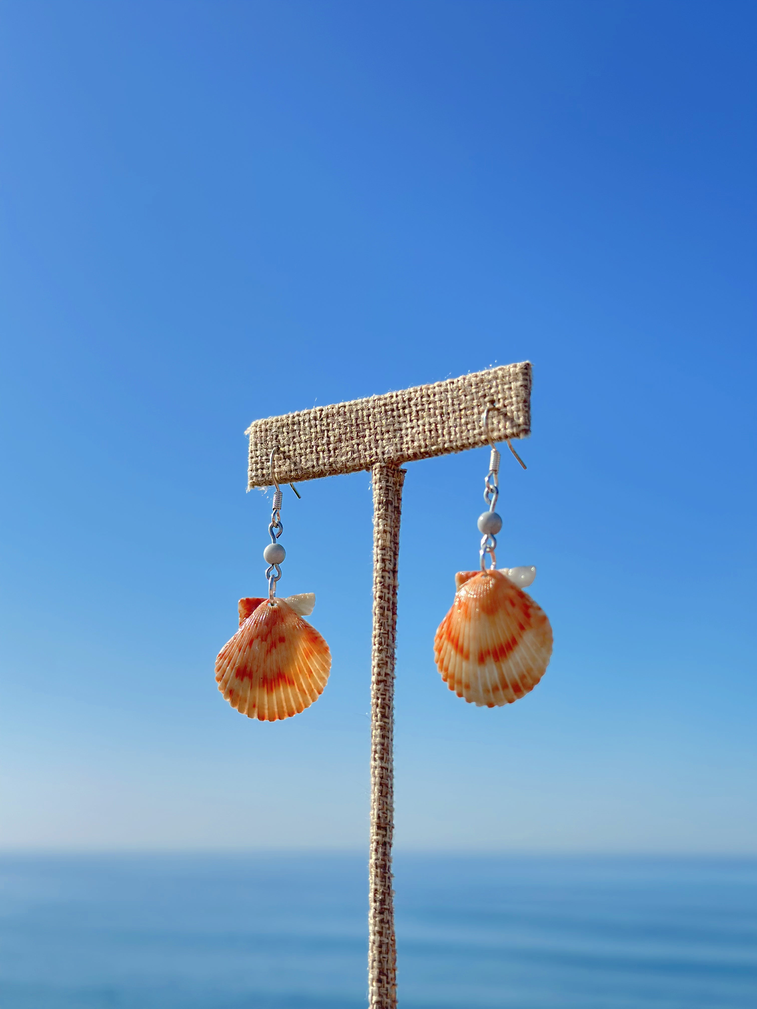 Golden Scallop Drops