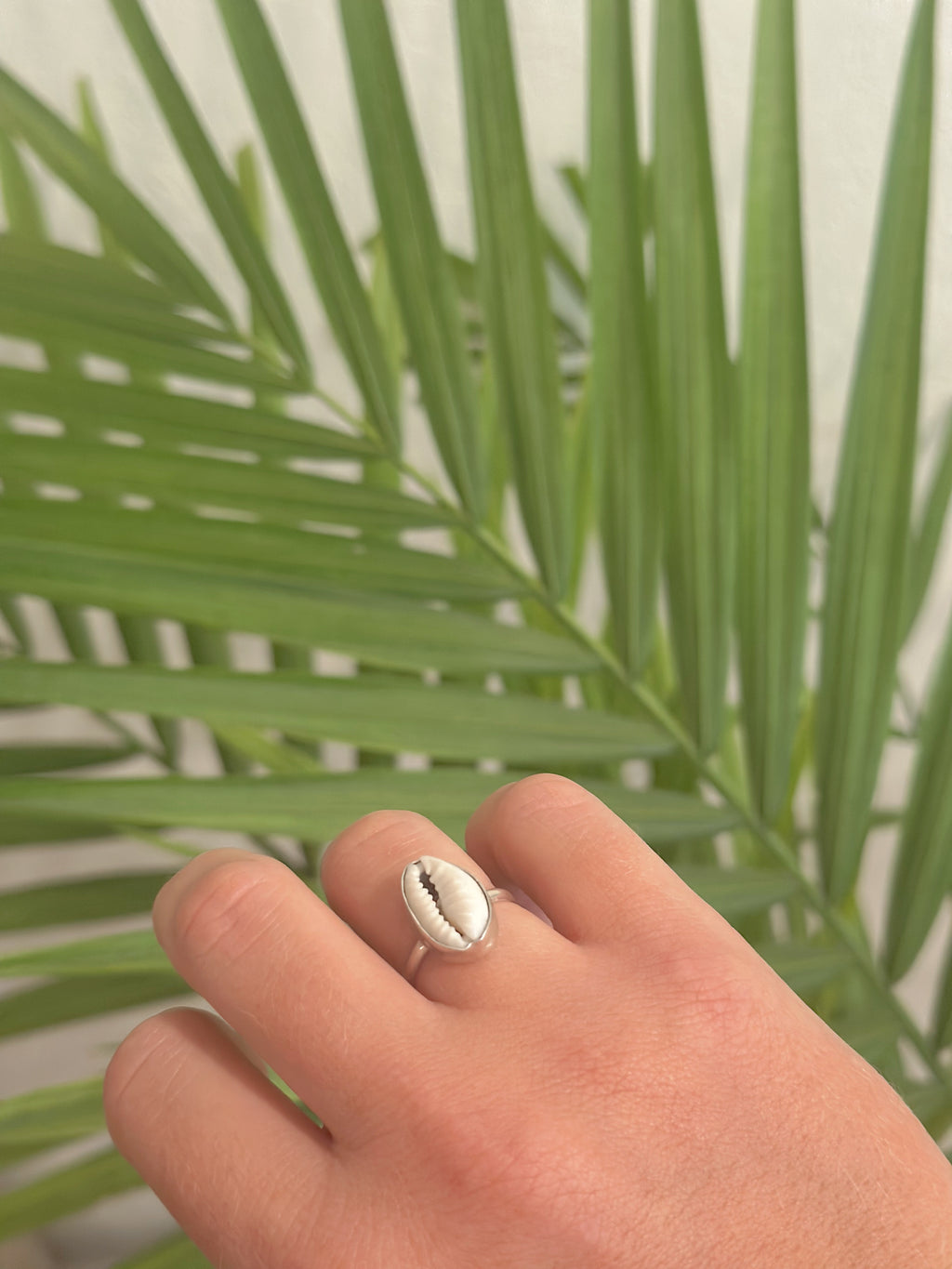 Classic Small Cowrie Ring