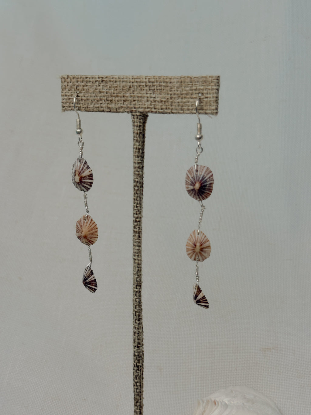 Limpet Drop Earrings