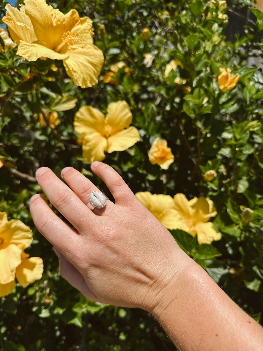 Cowrie Shell Ring - Wide Band