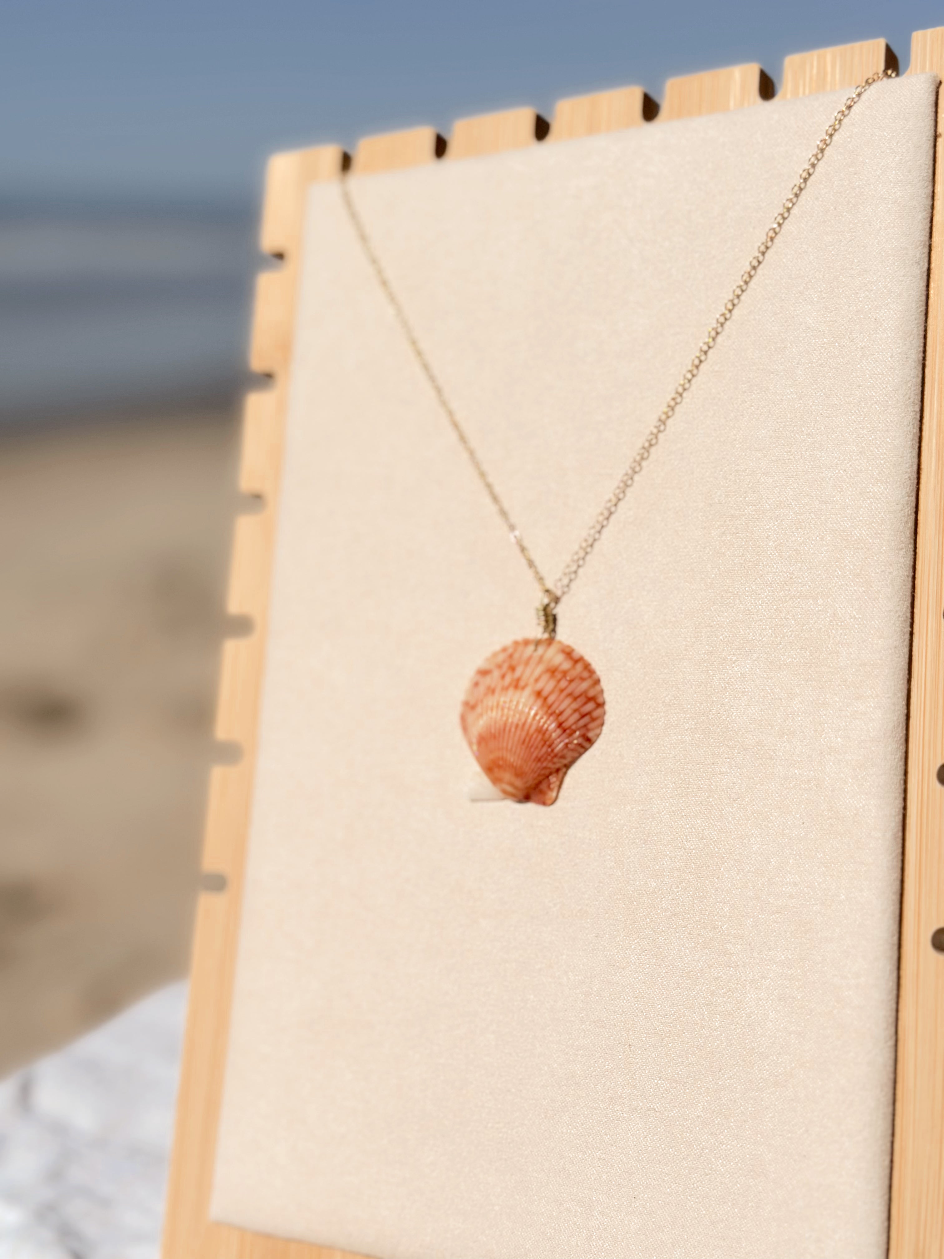 Slow Tide Scallop Shell Necklace