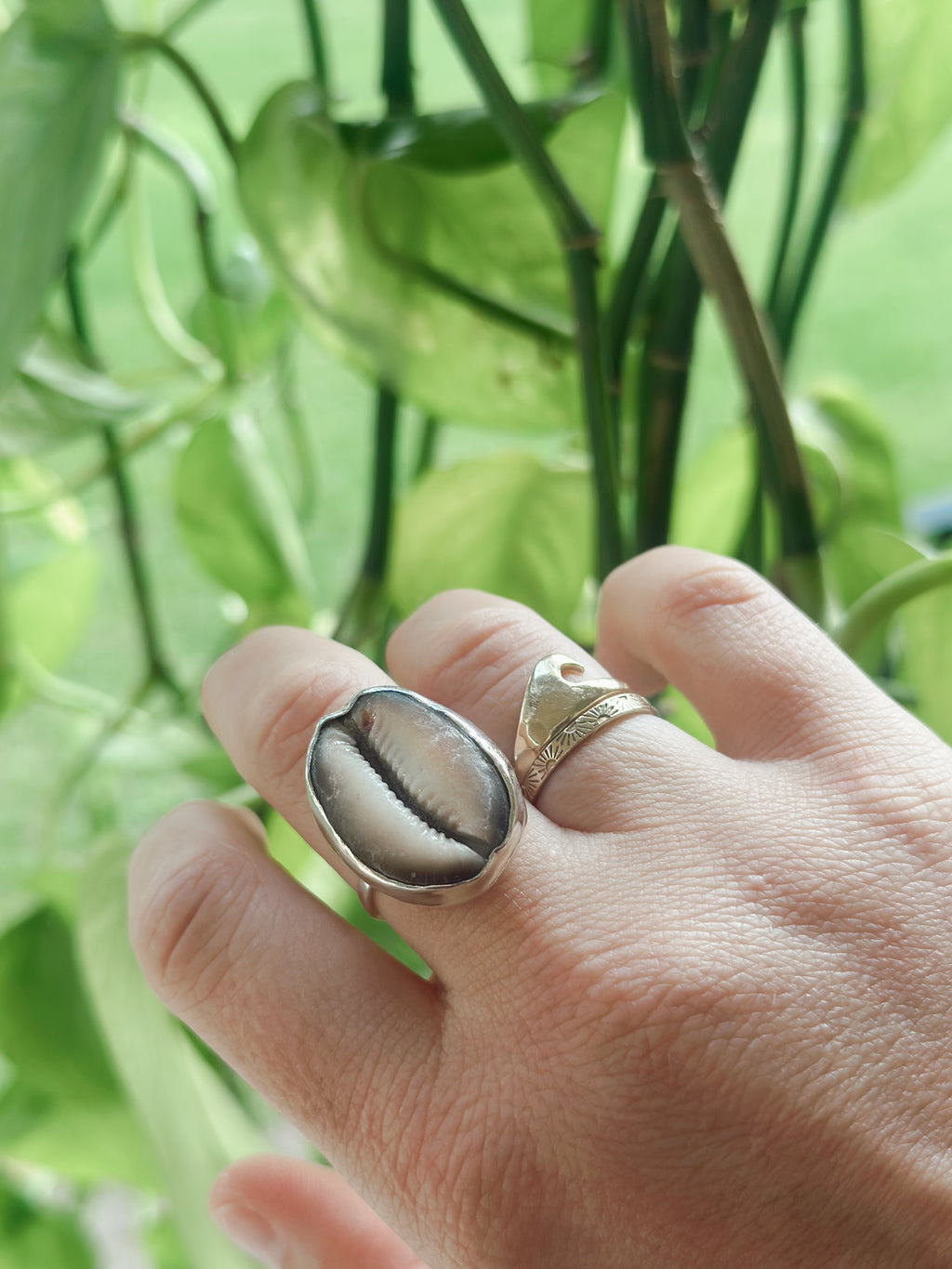 Cowrie Shell Ring