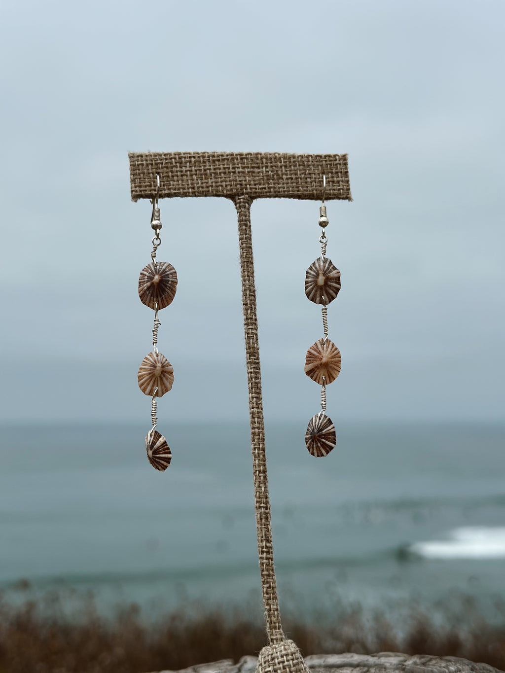 Limpet Drop Earrings