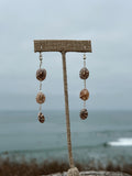 Limpet Drop Earrings