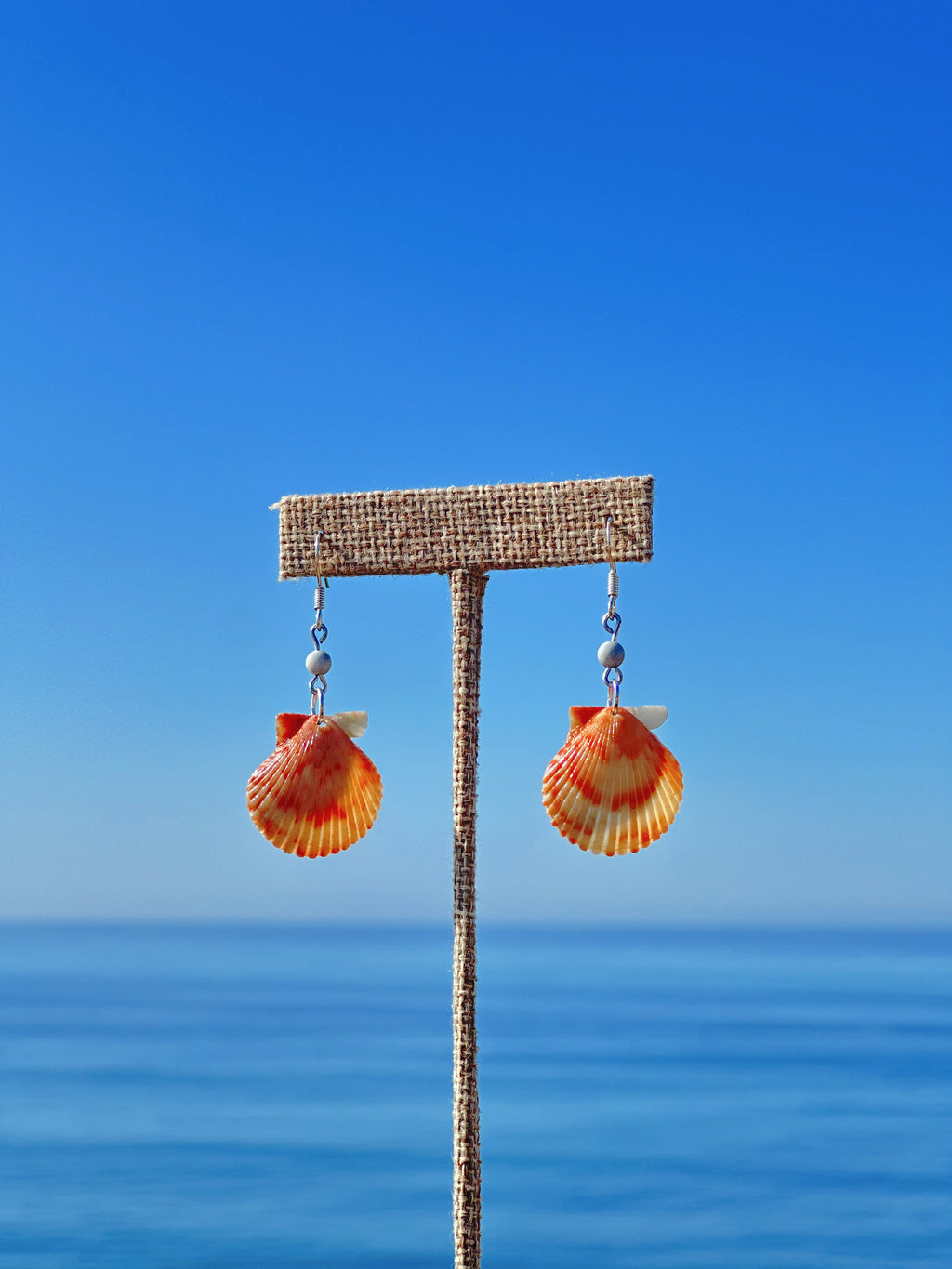 Golden Scallop Drops