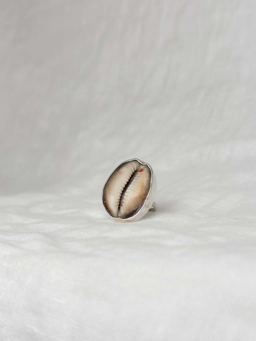 Cowrie Shell Ring