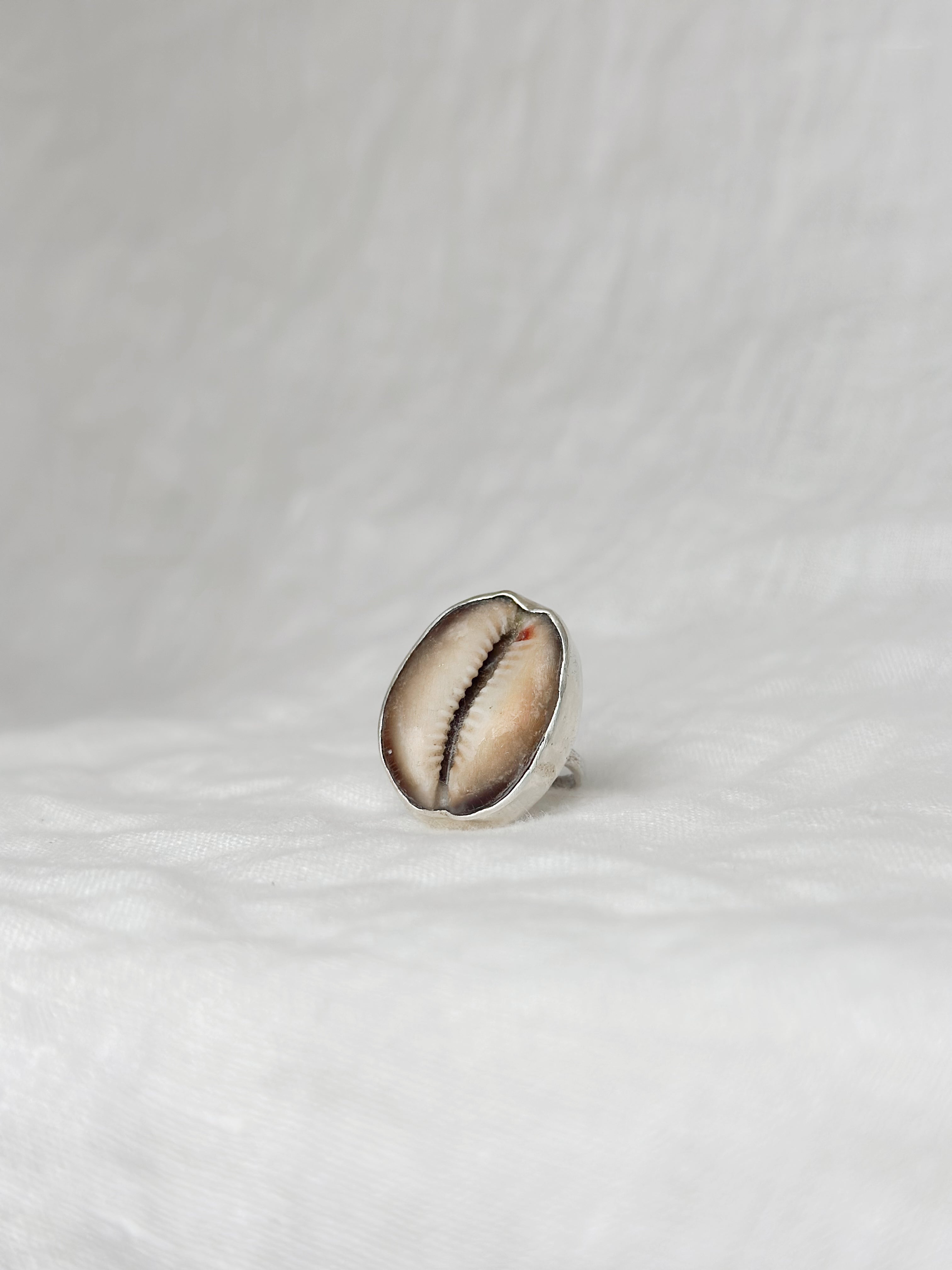Cowrie Shell Ring