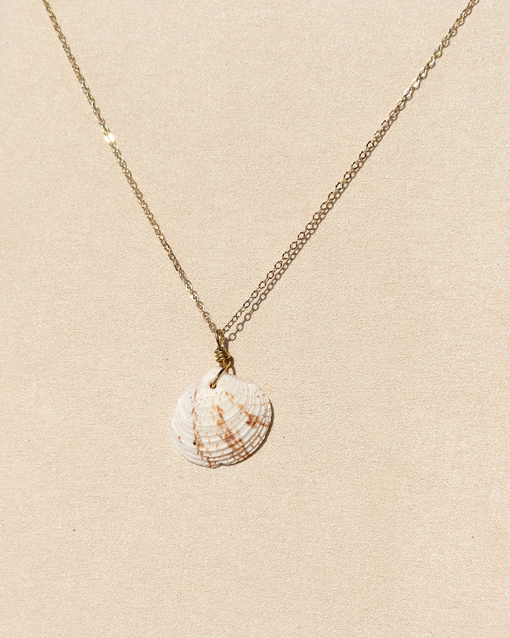 Slow Tide Coastal Clam Shell Necklace