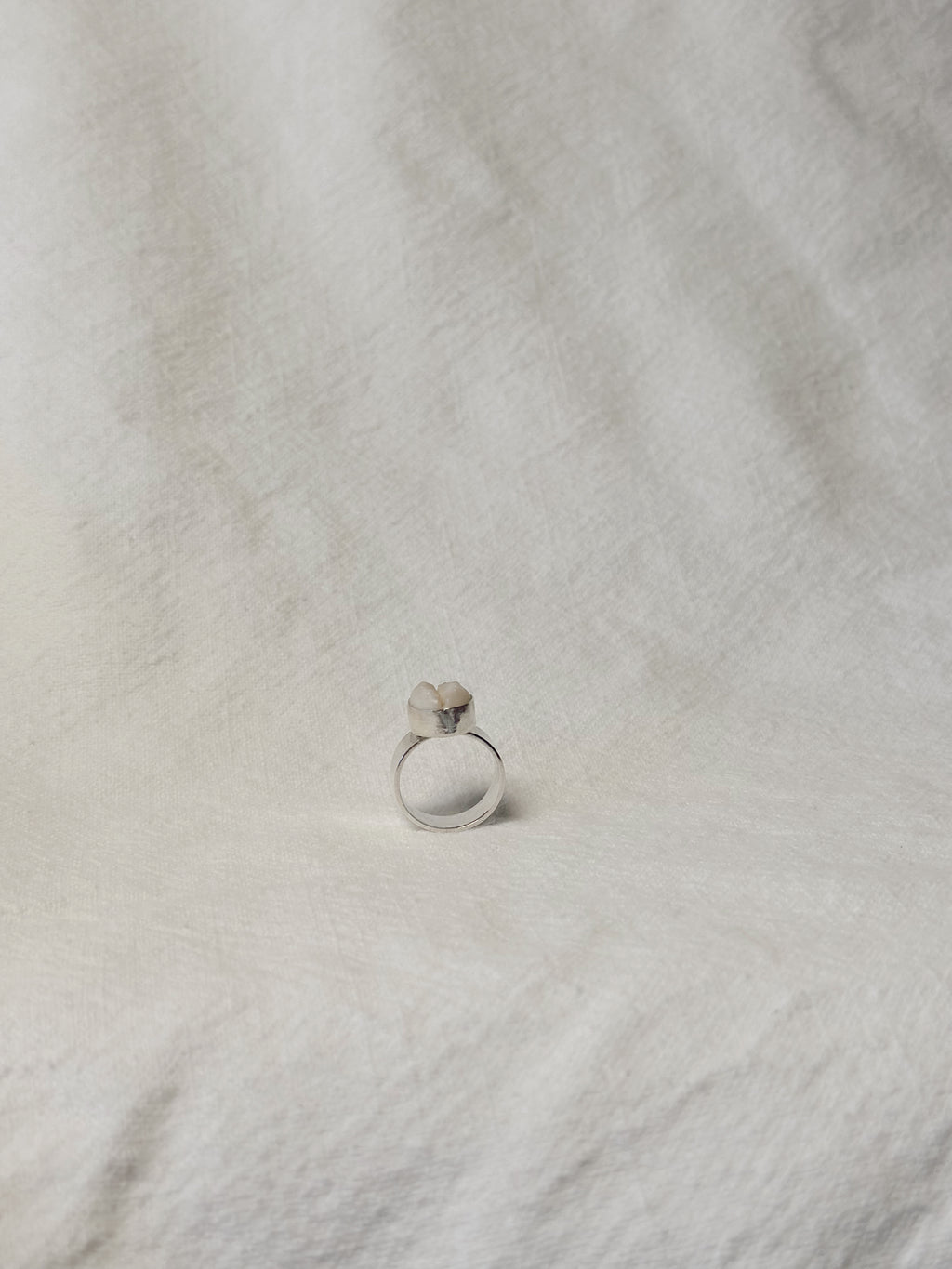 Cowrie Shell Ring - Wide Band