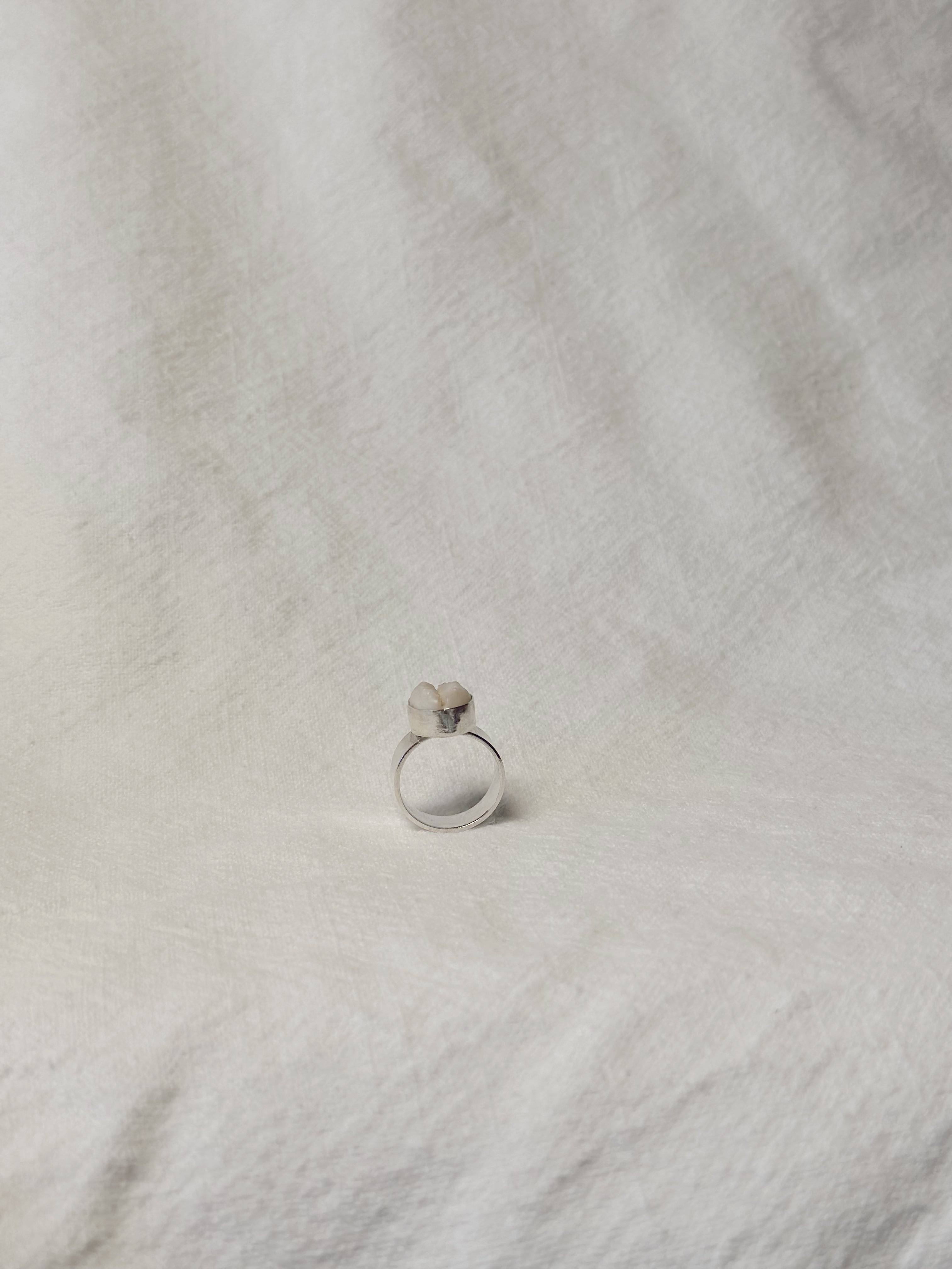 Cowrie Shell Ring - Wide Band