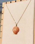 Slow Tide Scallop Shell Necklace